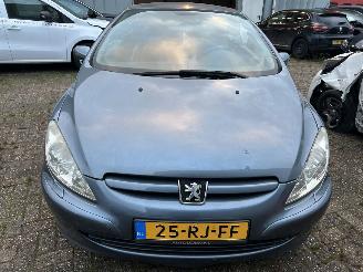 Peugeot 307 Cabriolet 2.0-16V picture 2