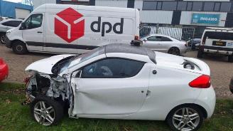 Renault Wind Wind (EN/E4), Cabrio, 2010 / 2013 1.2 16V TCE picture 3