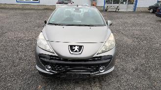Peugeot 207 KTN picture 2