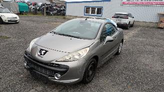 Sloopauto Peugeot 207 KTN 2008/5