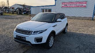 Coche siniestrado Land Rover Range Rover Evoque JLR M66 2WD 2016/6