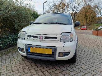 Fiat Panda 1.2 Climbing 4x4 picture 12