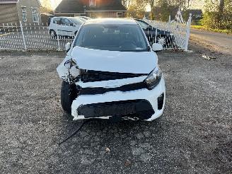 Kia Picanto  picture 8