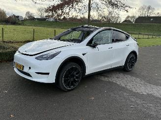 Unfallwagen Tesla Model Y 58 kWh 2023/5