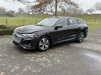Schadeauto Audi Q8 E-Tron 50 Quattro 2024/7