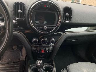 Mini Countryman  picture 21