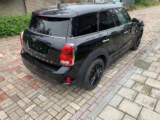 Mini Countryman  picture 5
