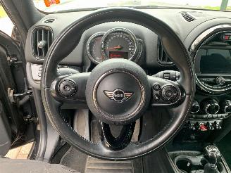 Mini Countryman  picture 17
