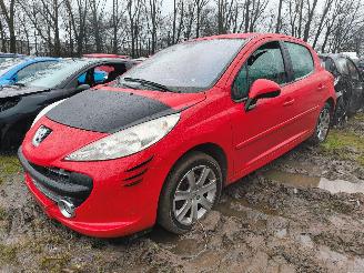 Salvage car Peugeot 207 1.6 VTi XS Pack 2007/10