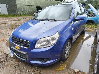 disassembly passenger cars Chevrolet Aveo 1.2 16V LS 2008/11