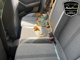 Volkswagen Polo Polo VI (AW1), Hatchback 5-drs, 2017 1.0 TSI 12V picture 16