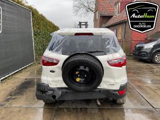 Ford EcoSport  picture 7