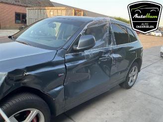 Audi Q5 Q5 (8RB), SUV, 2008 / 2017 2.0 TFSI 16V Quattro picture 6