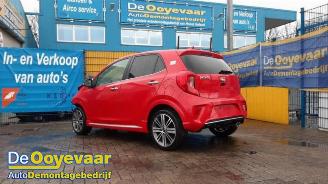 Auto da rottamare Kia Picanto Picanto (JA), Hatchback, 2017 1.0 T-GDI 12V 2020/1
