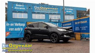 Coche siniestrado Ford Kuga Kuga II (DM2), SUV, 2012 2.0 TDCi 16V 163 4x4 2013/5