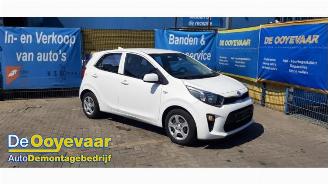 Auto da rottamare Kia Picanto Picanto (JA), Hatchback, 2017 1.0 12V 2019/11