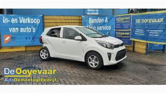 Purkuautot passenger cars Kia Picanto Picanto (JA), Hatchback, 2017 1.0 DPI 12V 2024/2