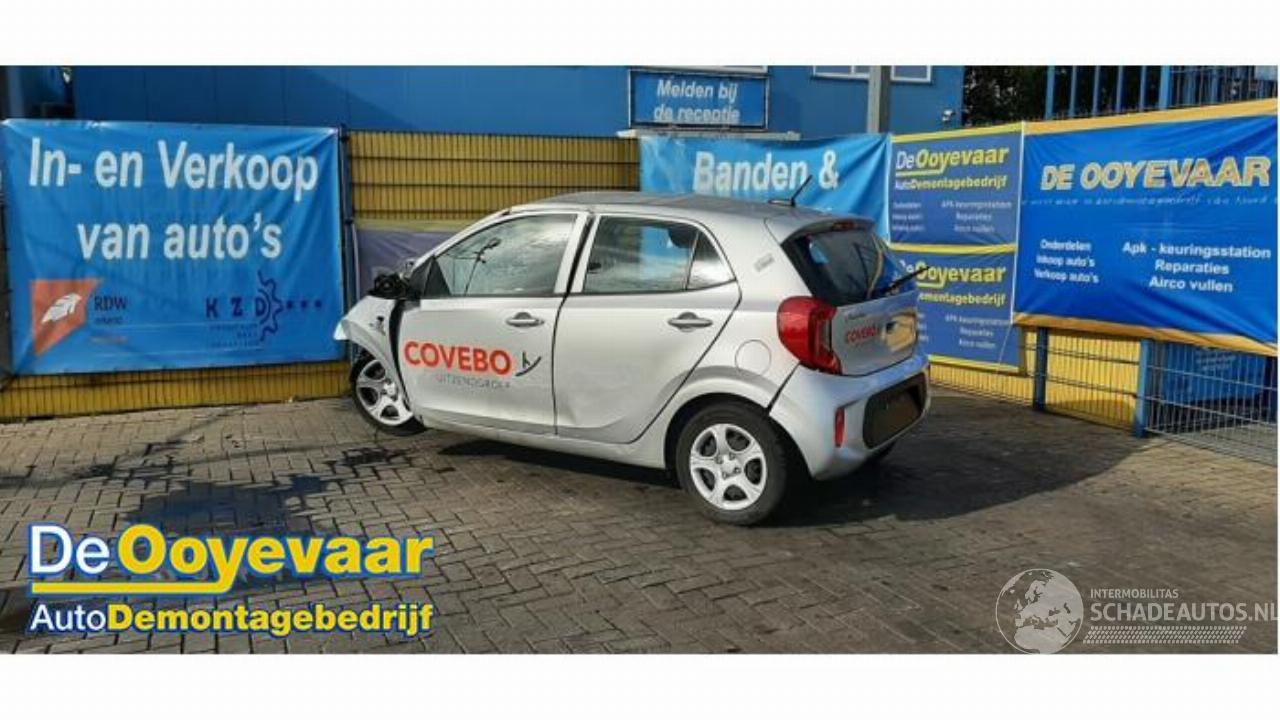 Kia Picanto Picanto (JA), Hatchback, 2017 1.0 DPI 12V