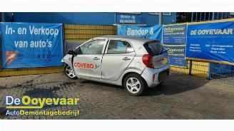  Kia Picanto Picanto (JA), Hatchback, 2017 1.0 DPI 12V 2024/4