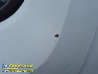 Renault Kangoo Kangoo Express (FW), Van, 2008 1.5 dCi 75 picture 8