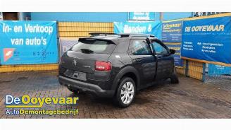 Citroën C4 cactus C4 Cactus (0B/0P), Hatchback 5-drs, 2014 1.2 PureTech 82 12V picture 3