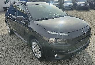 Citroën C4 cactus Citroën C4 Cactus Feel navi camera picture 7