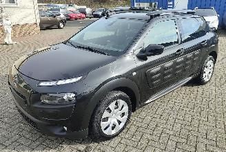  Citroën C4 cactus Citroën C4 Cactus Feel navi camera 2017/11