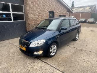 Damaged car Skoda Fabia  2012/1