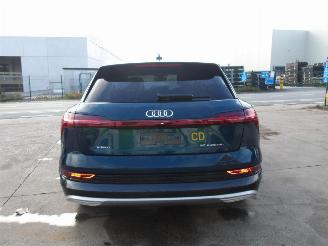 Audi E-tron 55 QUATRO picture 7