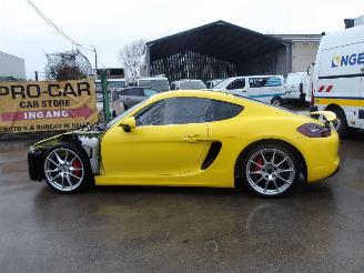 Porsche Cayman GTS picture 8