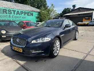 Coche accidentado Jaguar XJ 5.0 V8 PREMIUM LUXURY 2010/7