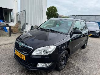 Damaged car Skoda Fabia 1.2 TDI Greenline 2011/3