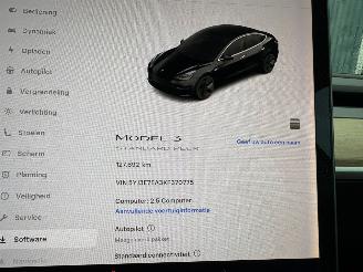Tesla Model 3 Standard RWD Plus 60 kWh picture 15