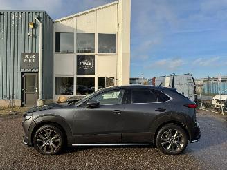 Mazda CX-30 2.0 e-SkyActiv-X M Hybrid Luxury picture 2