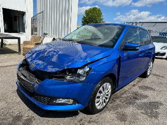 Damaged car Skoda Fabia 1.0 TSI Ambition 2021/1