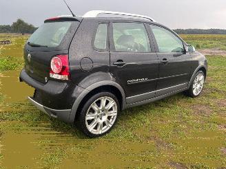 Volkswagen Polo Polo cross picture 2