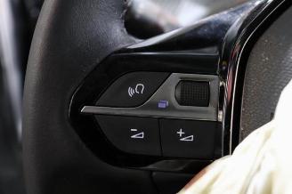Peugeot 2008 2008 (UD/UK/UR/US/UX), MPV, 2019 e-2008 50 kWh picture 19