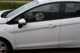 Ford Fiesta Fiesta 6 (JA8), Hatchback, 2008 / 2018 1.25 16V picture 33