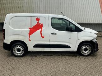 Opel Combo Combo Cargo, Van, 2018 1.6 CDTI 100 picture 2