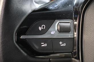 Peugeot 2008 2008 (UD/UK/UR/US/UX), MPV, 2019 e-2008 50 kWh picture 17