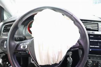 Volkswagen e-Golf Golf VII (AUA), Hatchback, 2012 / 2021 e-Golf picture 19