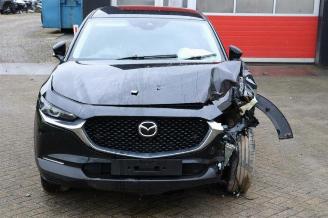 Mazda CX-30 CX-30 (DM), SUV, 2019 2.0 e-SkyActiv-G 122 16V picture 8