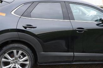 Mazda CX-30 CX-30 (DM), SUV, 2019 2.0 e-SkyActiv-G 122 16V picture 29