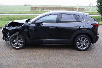 Mazda CX-30 CX-30 (DM), SUV, 2019 2.0 e-SkyActiv-G 122 16V picture 6