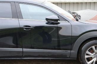 Mazda CX-30 CX-30 (DM), SUV, 2019 2.0 e-SkyActiv-G 122 16V picture 26