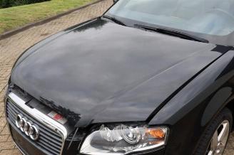 Audi A4 A4 Cabrio (B7), Cabrio, 2006 / 2009 1.8 T 20V picture 31