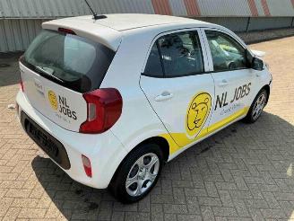 Kia Picanto Picanto (JA), Hatchback, 2017 1.0 DPi 12V picture 3
