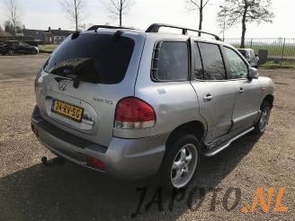 Hyundai Santa Fe Santa Fe I, SUV, 2000 / 2006 2.0 16V 4x2 picture 4