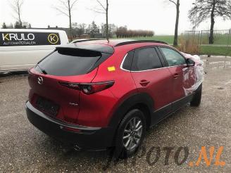 Mazda CX-30 CX-30 (DM), SUV, 2019 1.8 Skyactiv D 116 16V picture 7