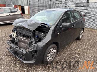 Salvage car Kia Picanto Picanto (JA), Hatchback, 2017 1.0 12V 2019/8